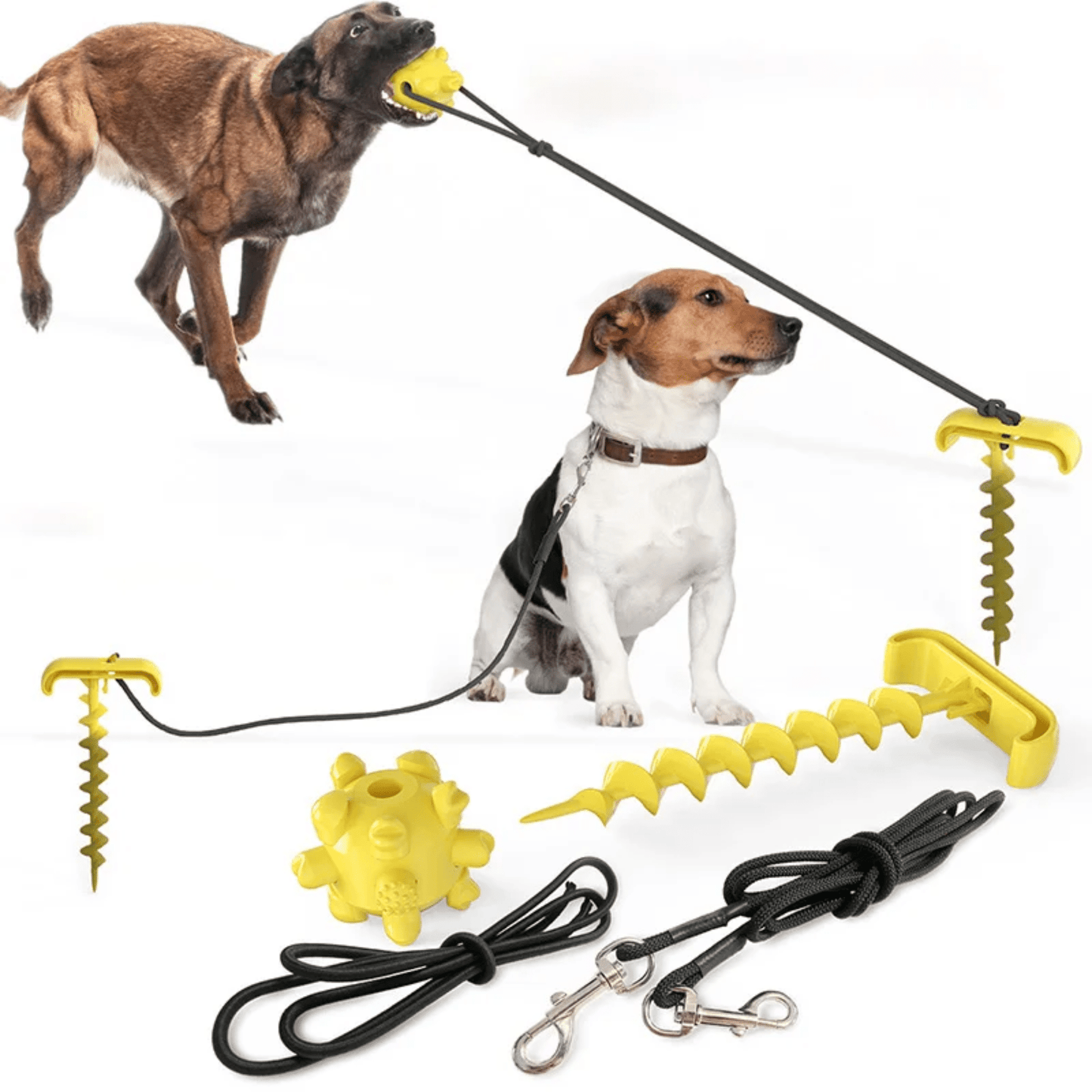 Dazzle™ | Hundespielzeug mit Zugseil - Finezo.de