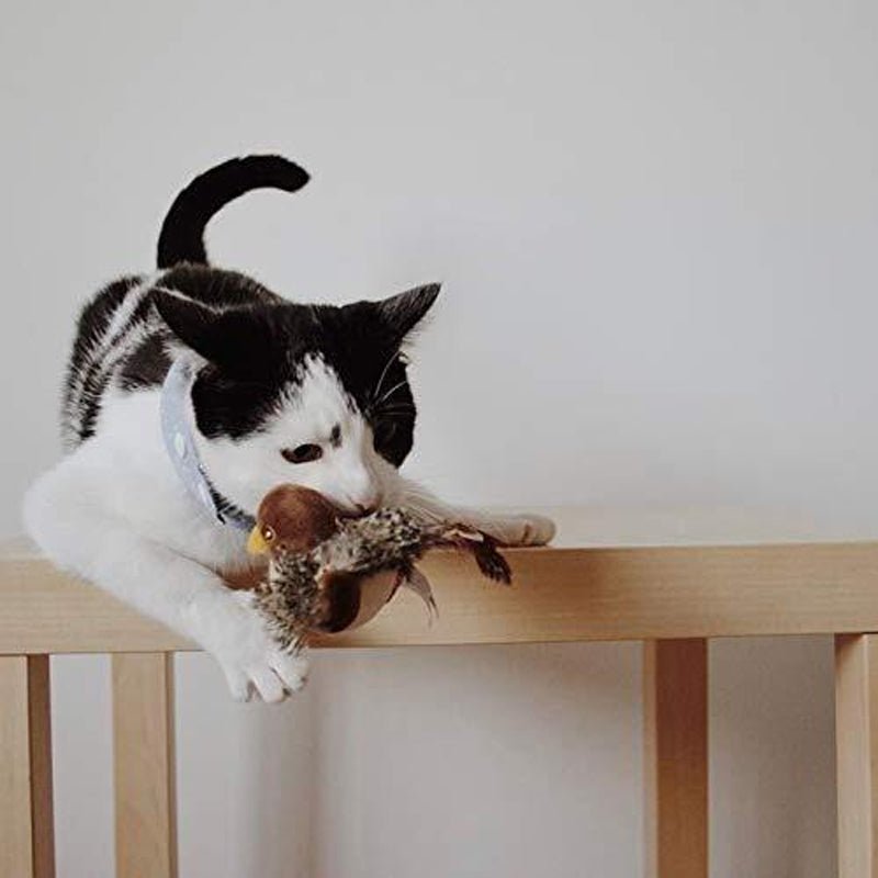 Chirpy™ | Halten Sie Ihre Katze aktiv und vermeiden Sie Langeweile | 1+1 GRATIS - Finezo.de