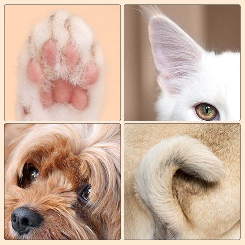PerfectPaw™ | Tierhaartrimmer mit LED - Licht | 50% RABATT - Finezo.de