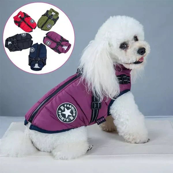 PawCoat™ | Ultimativer Schutz vor Kälte und Regen | 50% RABBAT - Finezo.de