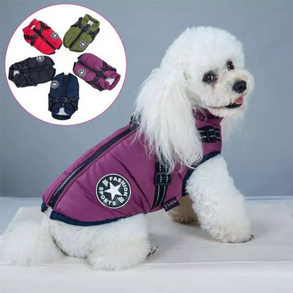 PawCoat™ | Ultimativer Schutz vor Kälte und Regen | 50% RABBAT - Finezo.de