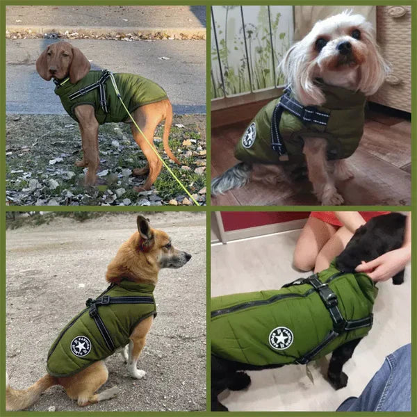 PawCoat™ | Winterjacke für Hunde mit integriertem Geschirr | 50% RABBAT