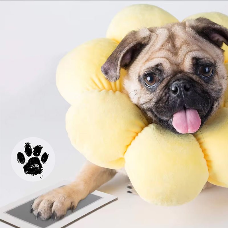 Pawprint™ | Haustierpfotenabdruckset - Finezo.de