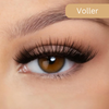 Glameyes™ | Kein Kleberchaos! | 1+1 GRATIS