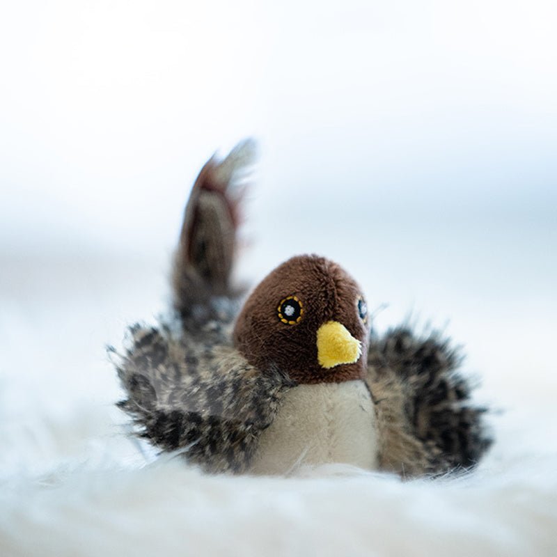 Chirpy™ | Halten Sie Ihre Katze aktiv und vermeiden Sie Langeweile | 1+1 GRATIS - Finezo.de