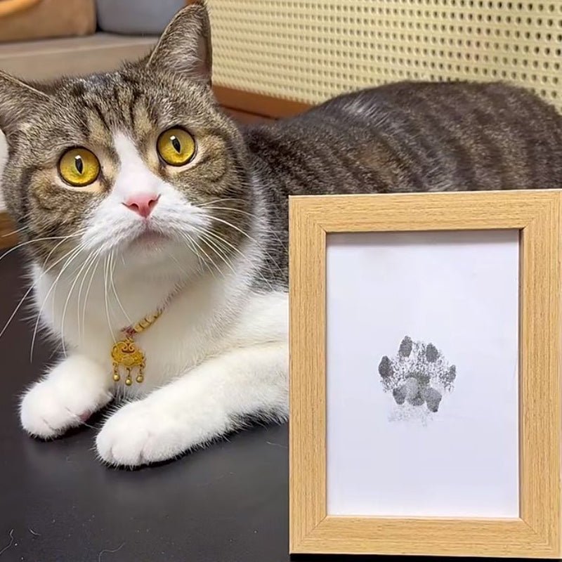 Pawprint™ | Haustierpfotenabdruckset - Finezo.de