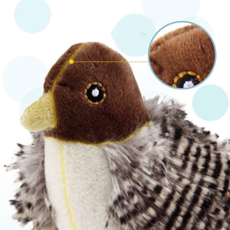 Chirpy™ | Halten Sie Ihre Katze aktiv und vermeiden Sie Langeweile | 1+1 GRATIS - Finezo.de