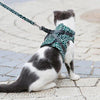 CatLeash™ | Geschirre für Katzen | 50%RABATT