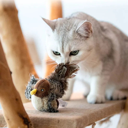 Chirpy™ | Halten Sie Ihre Katze aktiv und vermeiden Sie Langeweile | 1+1 GRATIS - Finezo.de