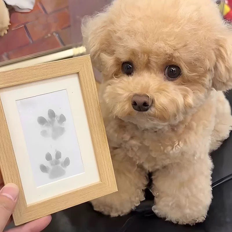 Pawprint™ | Haustierpfotenabdruckset - Finezo.de