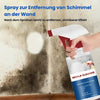 MouldClean™| Effektives Schimmelpilz-Reinigungsspray