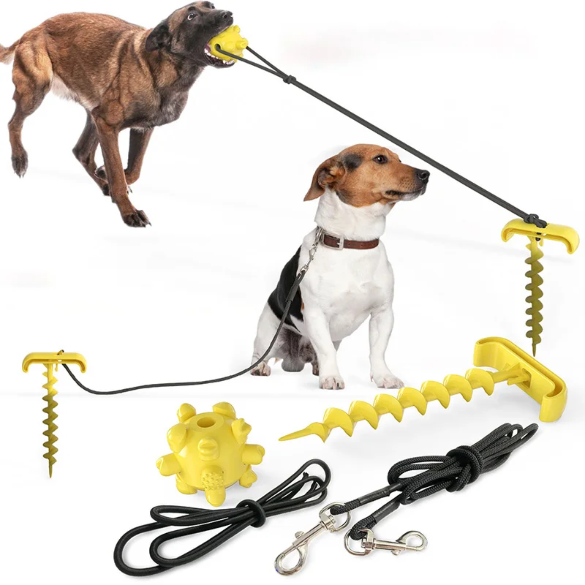 Dazzle™ | Hundespielzeug mit Zugseil