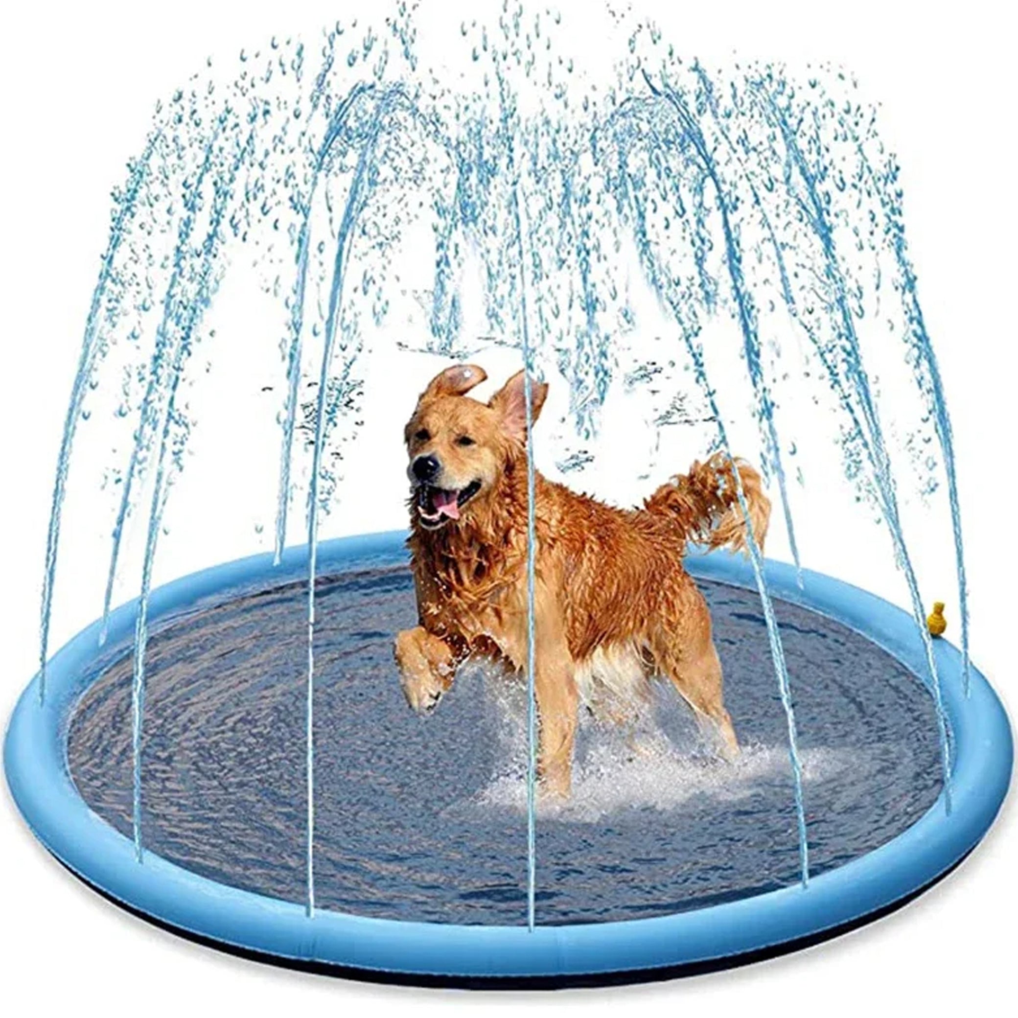 WaterSplash™ | Spielen und Kühlen zugleich | 50% RABATT