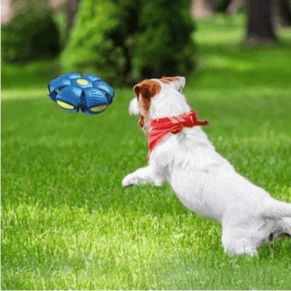 Discball™ | Springender Hundeball | 1+1 GRATIS - Finezo.de
