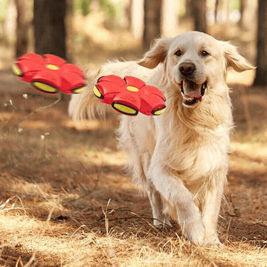 Discball™ | Springender Hundeball | 1+1 GRATIS - Finezo.de