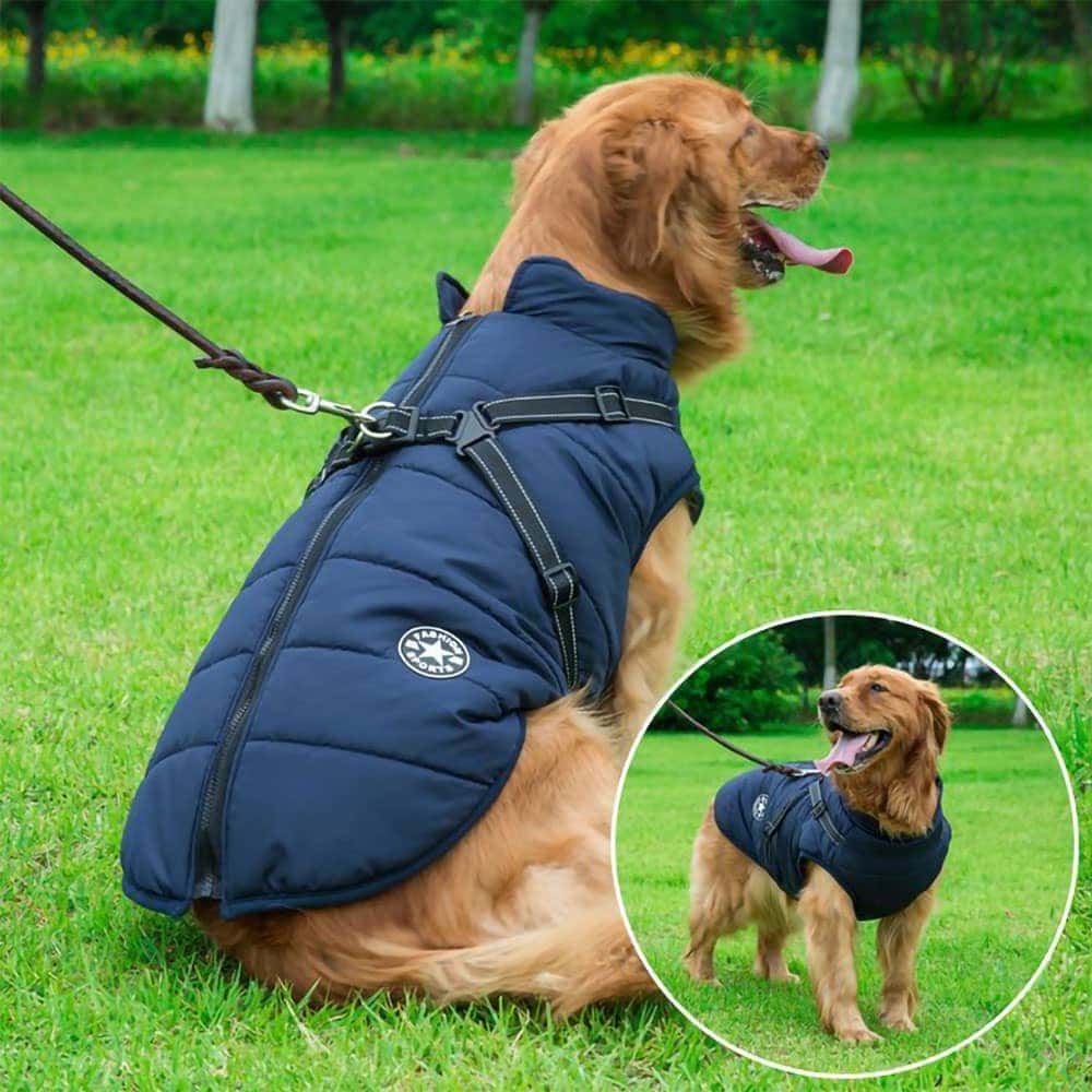 PawCoat™ | Ultimativer Schutz vor Kälte und Regen | 50% RABBAT - Finezo.de