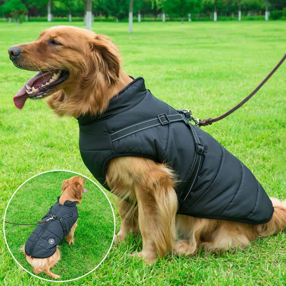 PawCoat™ | Winterjacke für Hunde mit integriertem Geschirr | 50% RABBAT