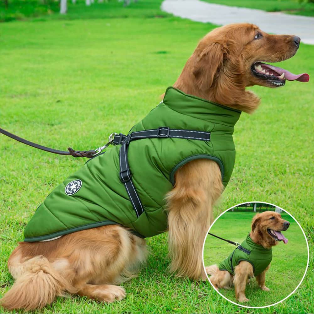 PawCoat™ | Ultimativer Schutz vor Kälte und Regen | 50% RABBAT - Finezo.de
