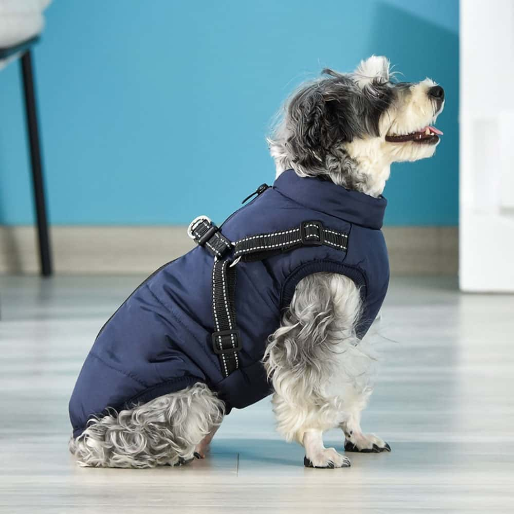 PawCoat™ | Winterjacke für Hunde mit integriertem Geschirr | 50% RABBAT