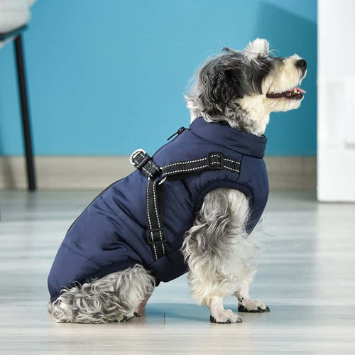 PawCoat™ | Ultimativer Schutz vor Kälte und Regen | 50% RABBAT - Finezo.de