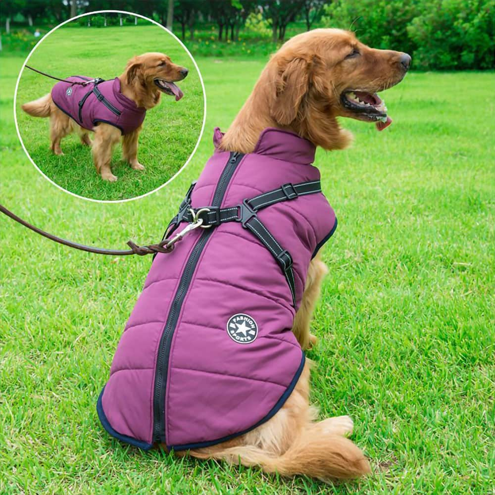 PawCoat™ | Winterjacke für Hunde mit integriertem Geschirr | 50% RABBAT