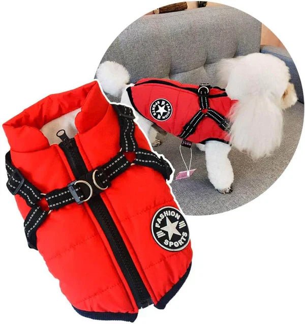 PawCoat™ | Ultimativer Schutz vor Kälte und Regen | 50% RABBAT - Finezo.de