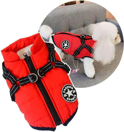 PawCoat™ | Ultimativer Schutz vor Kälte und Regen | 50% RABBAT - Finezo.de