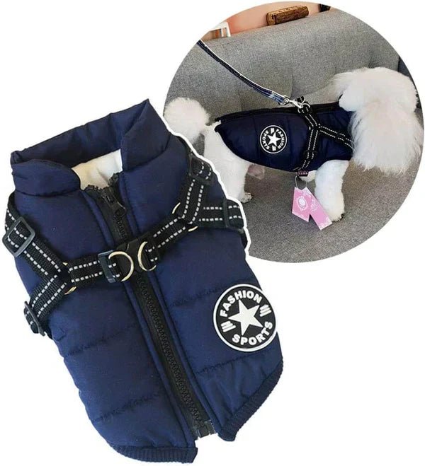 PawCoat™ | Ultimativer Schutz vor Kälte und Regen | 50% RABBAT - Finezo.de