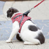 CatLeash™ | Geschirre für Katzen | 50%RABATT