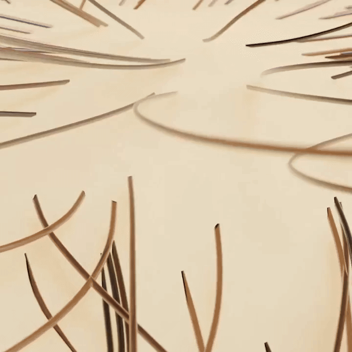 Hairflow™ | Elektrische Massagebürste + Kostenloses Geschenk