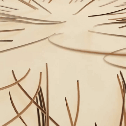 Hairflow™ | Elektrische Massagebürste + Kostenloses Geschenk