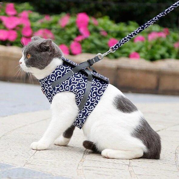 CatLeash™ | Geschirre für Katzen | 50%RABATT