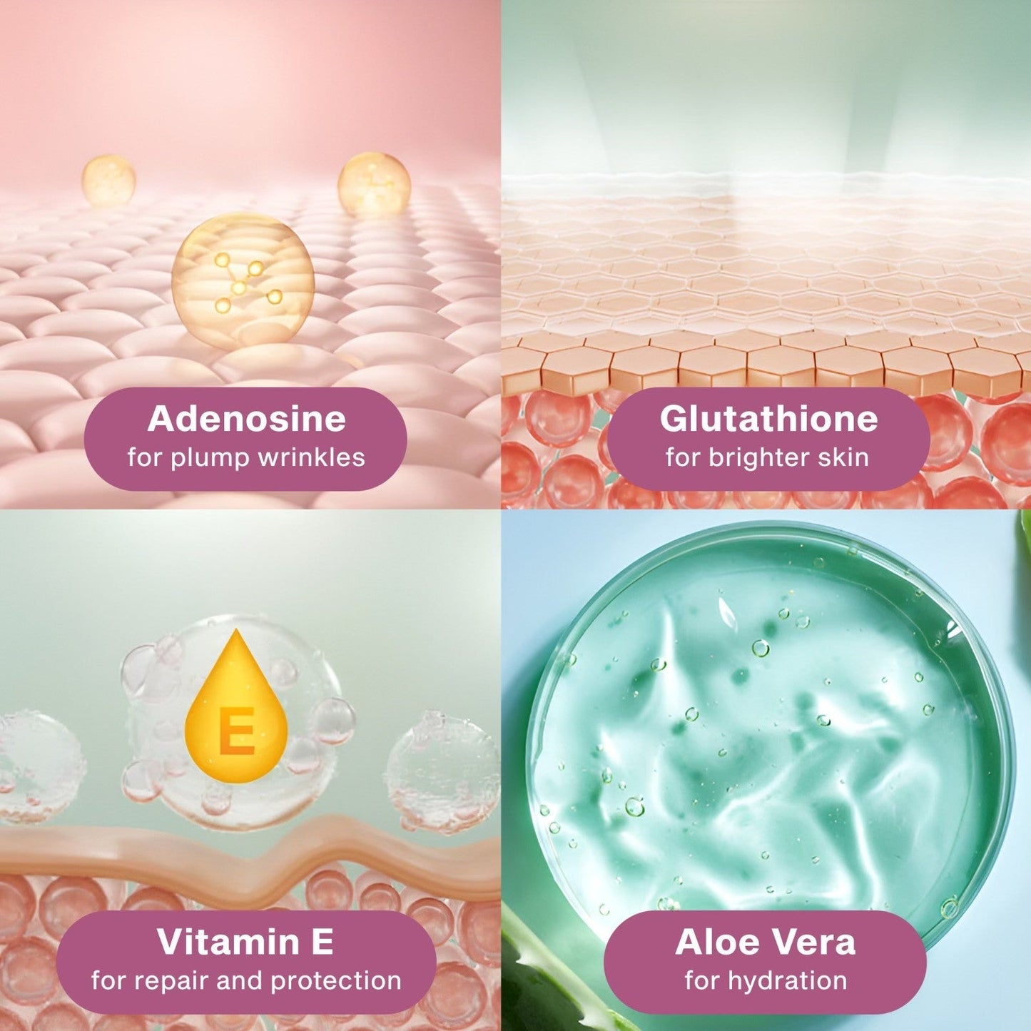 Calcium - Multibalsam | 1+1 GRATIS - Finezo.de