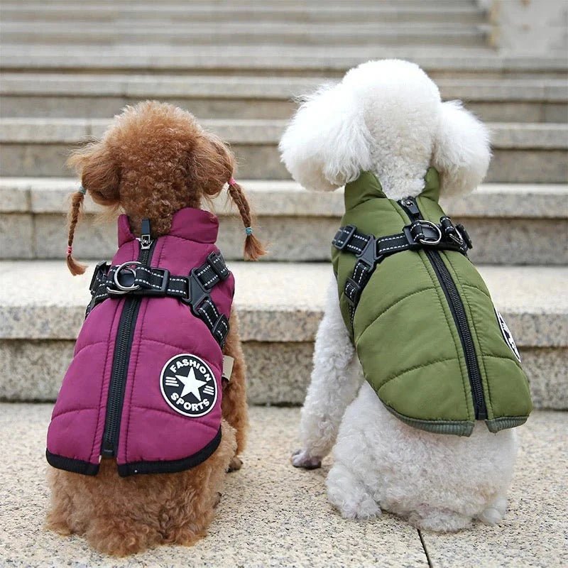 PawCoat™ | Ultimativer Schutz vor Kälte und Regen | 50% RABBAT - Finezo.de